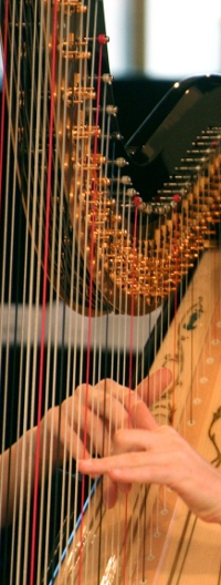 https://www.sarah-beckett-harpist.com/uploads/images/strings1.jpg